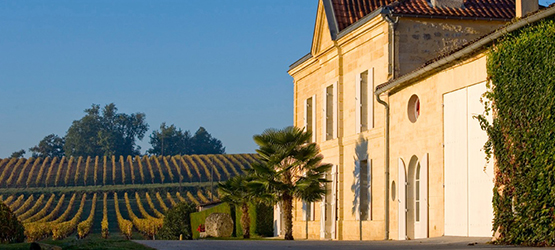 Château Moulin de Clotte